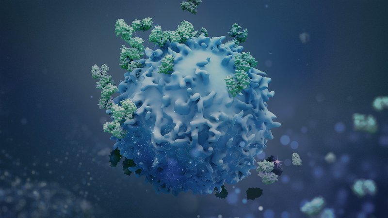 CTC - Krebstumotr mit T-Zellen